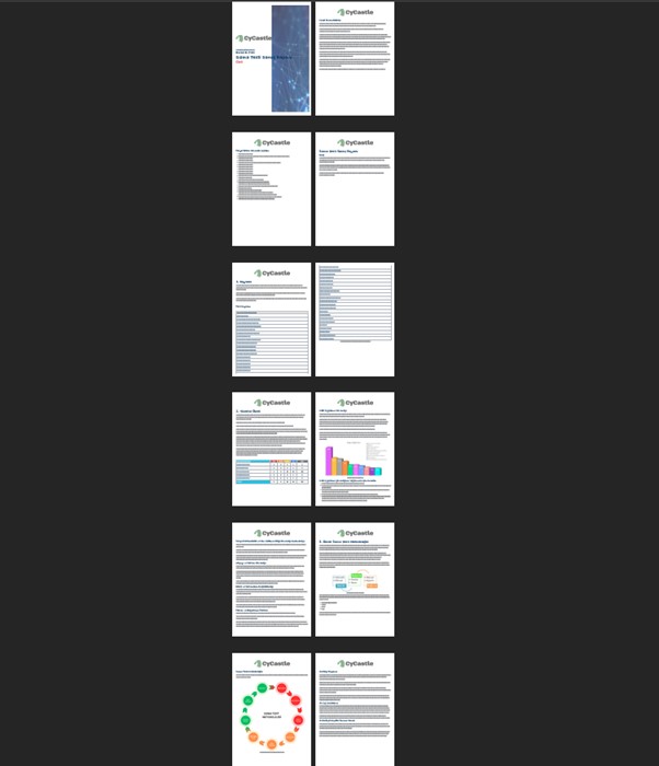 schema